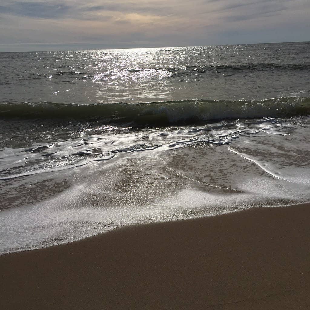 Signature Oyster Farm