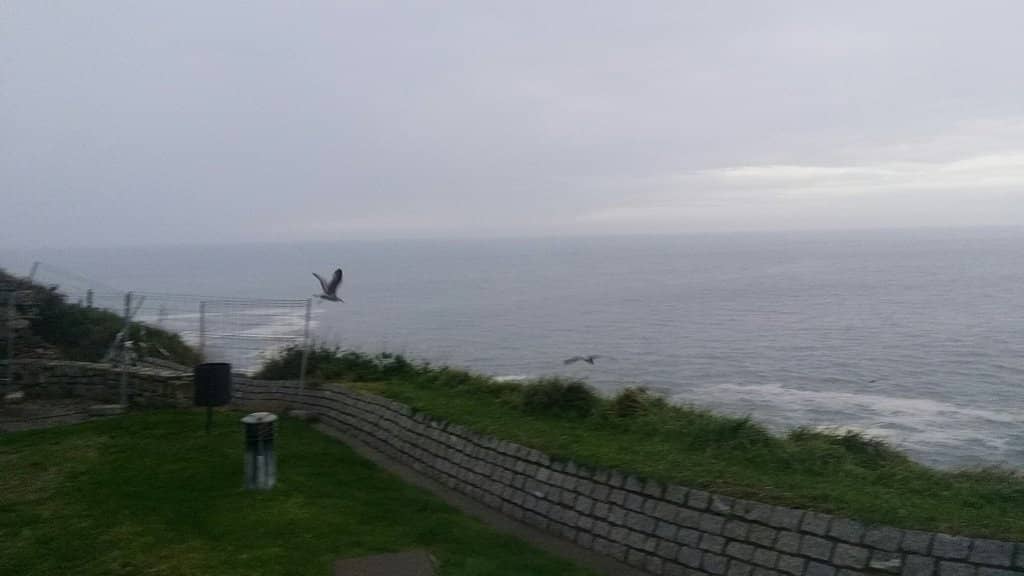 Panoramic City Views