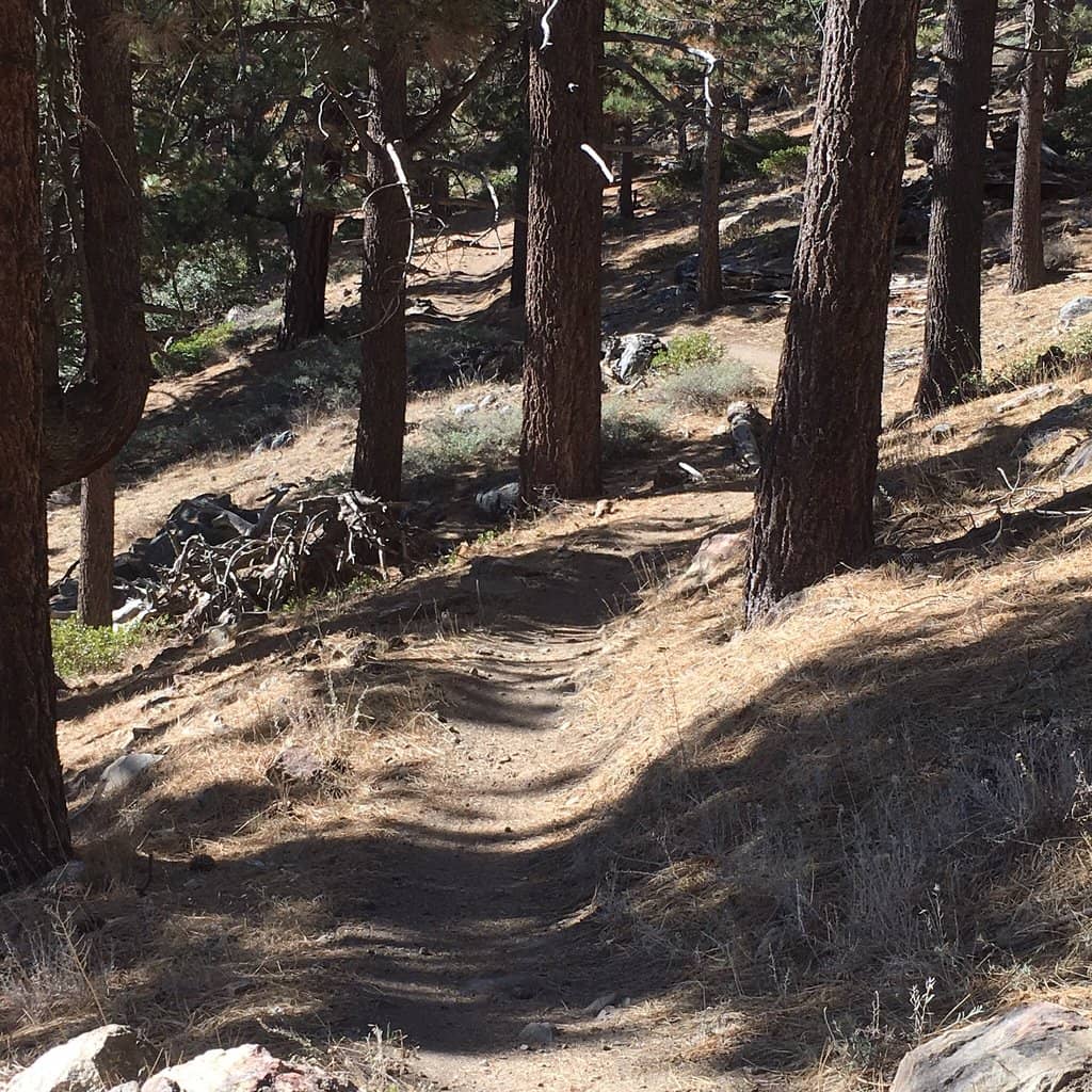 Vertical photo