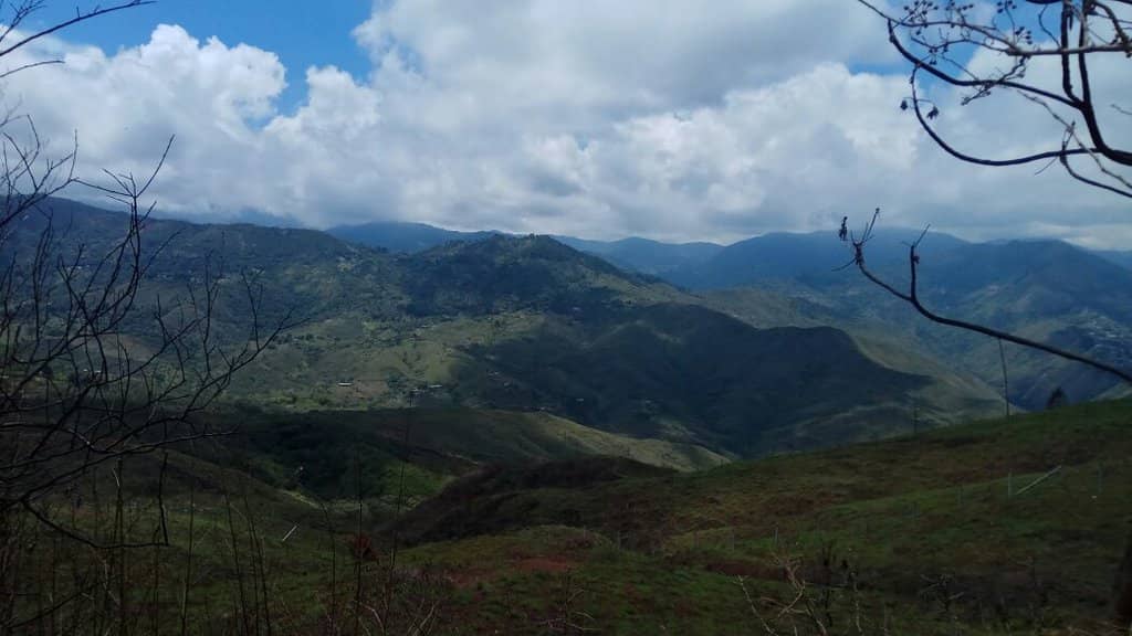 Breathtaking City Views