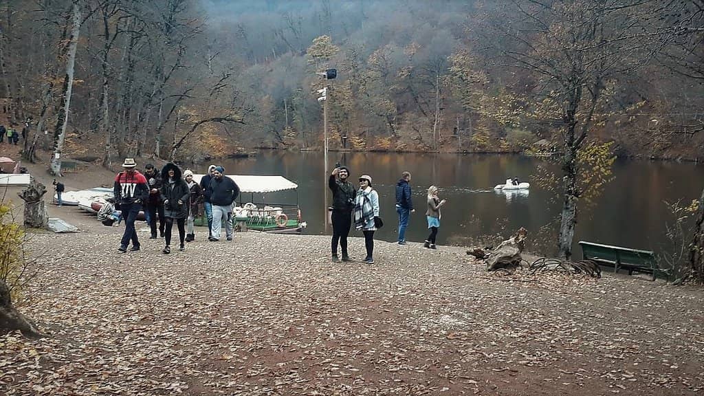 Adrenaline-Pumping Zipline