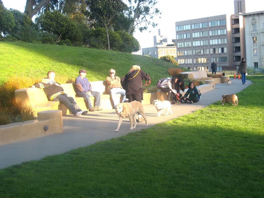 Dog-Friendly Haven