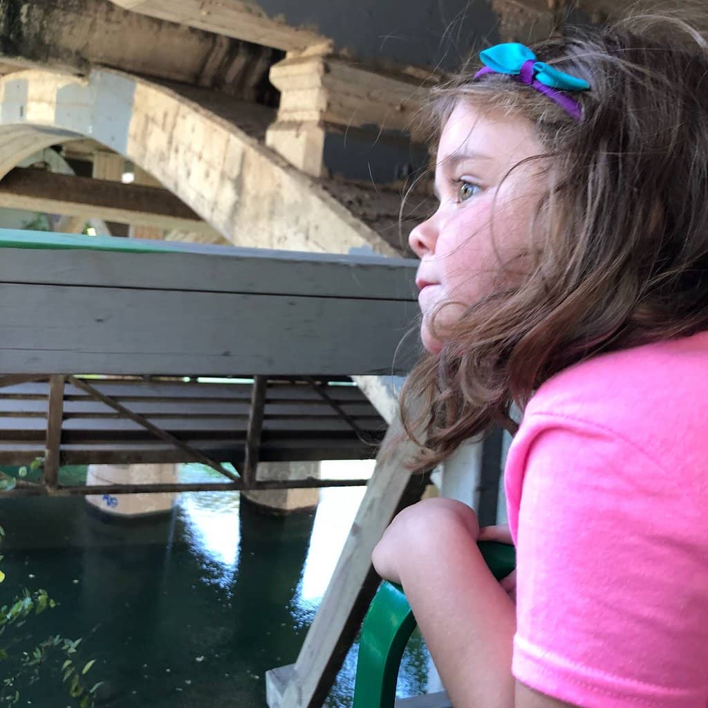 Lady Bird Lake Views