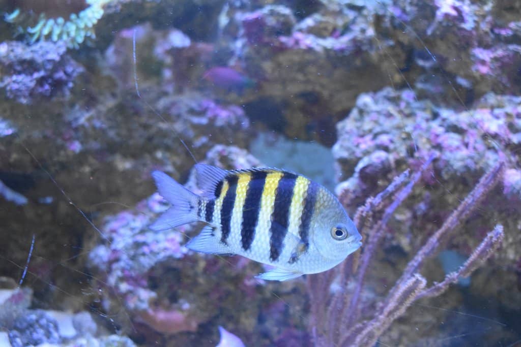 Lake Worth Lagoon Views