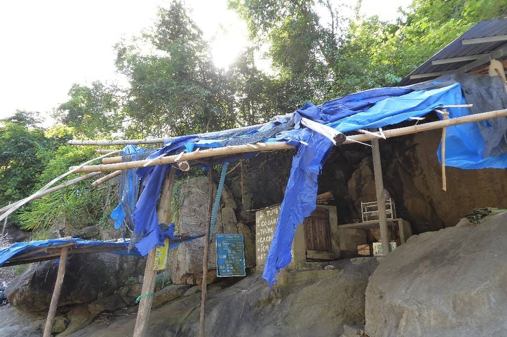 Covered Wooden Platforms