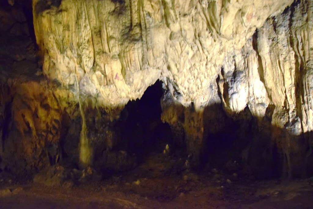 Informative Guided Tours