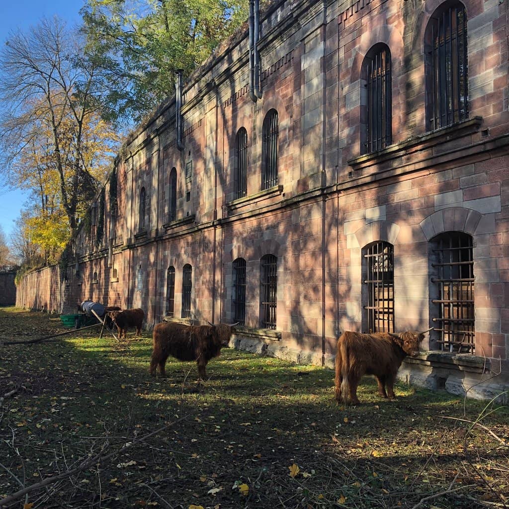 Monster Run Halloween Spectacle