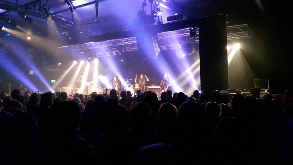 Tribute Band Shows