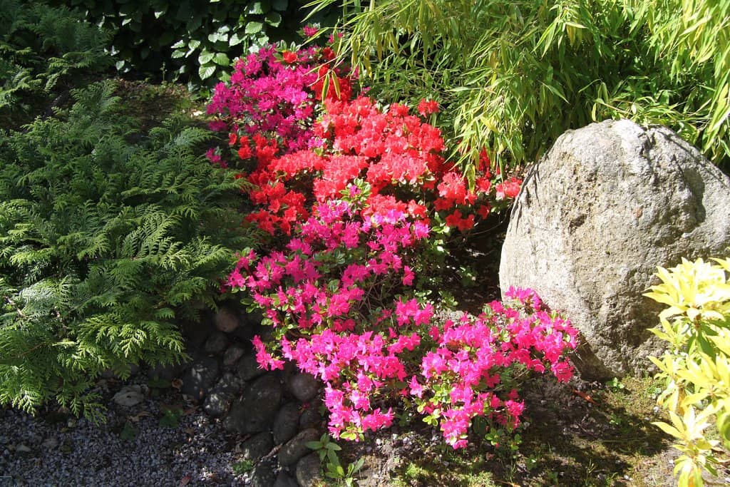 Japanese Garden