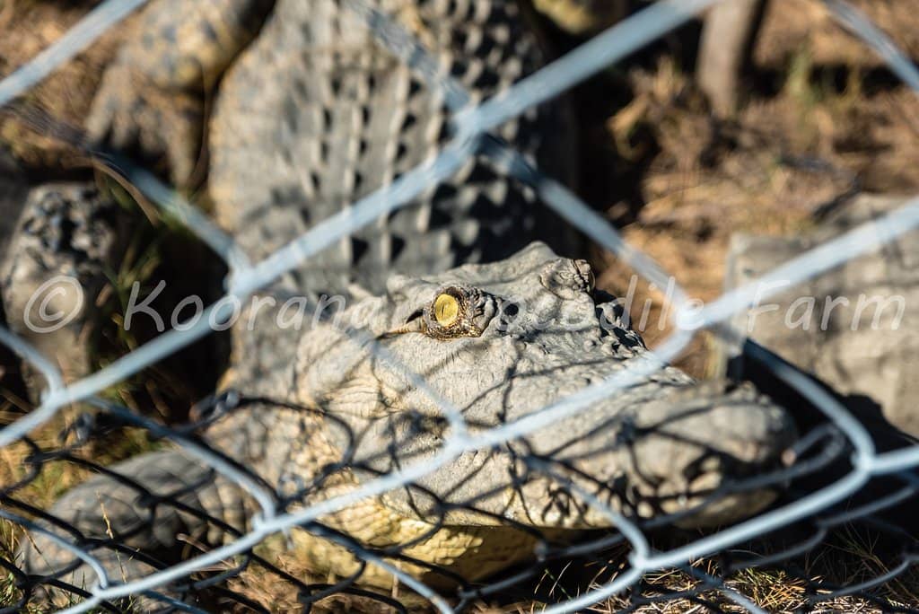 Educational Farm Tour