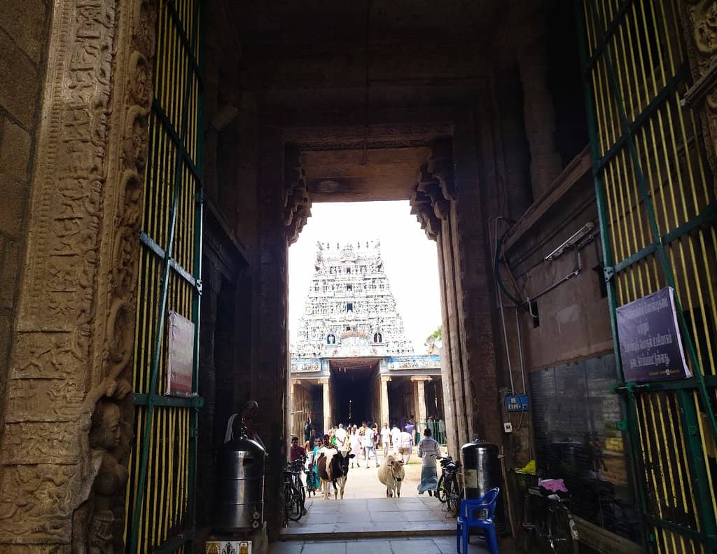 The Utsavar