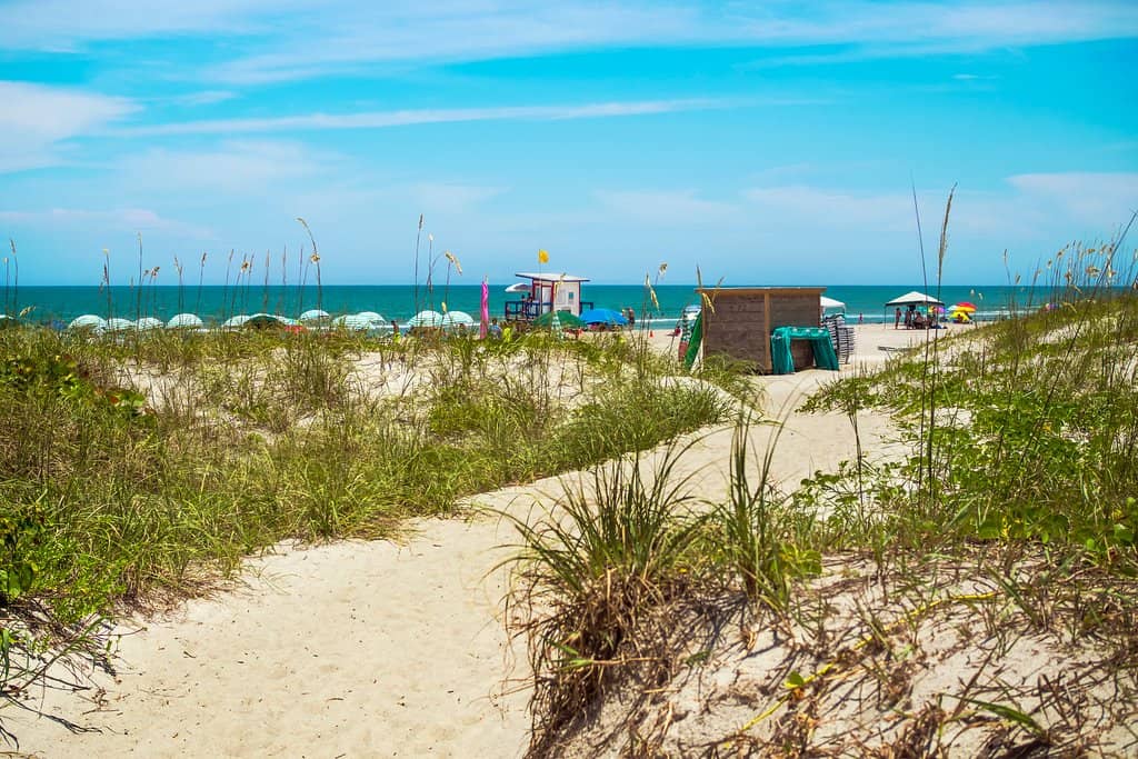 Boardwalk & Dune Walkover