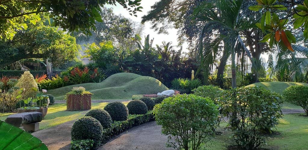 Lush Greenery