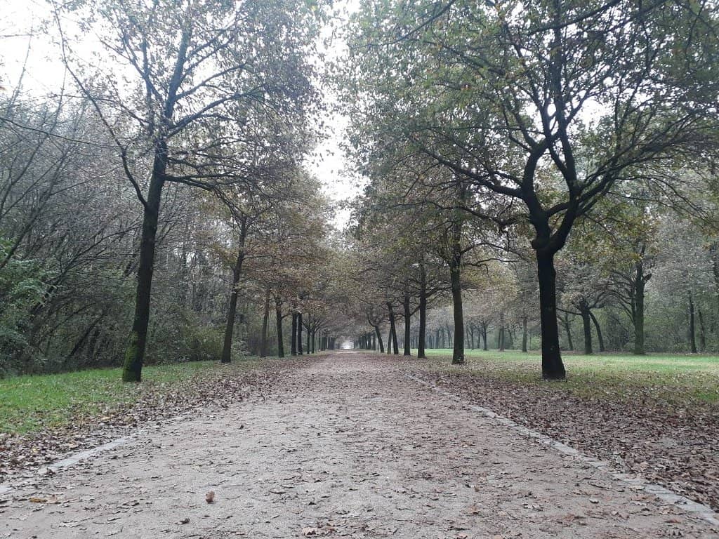 Expansive Lawns and Greenery