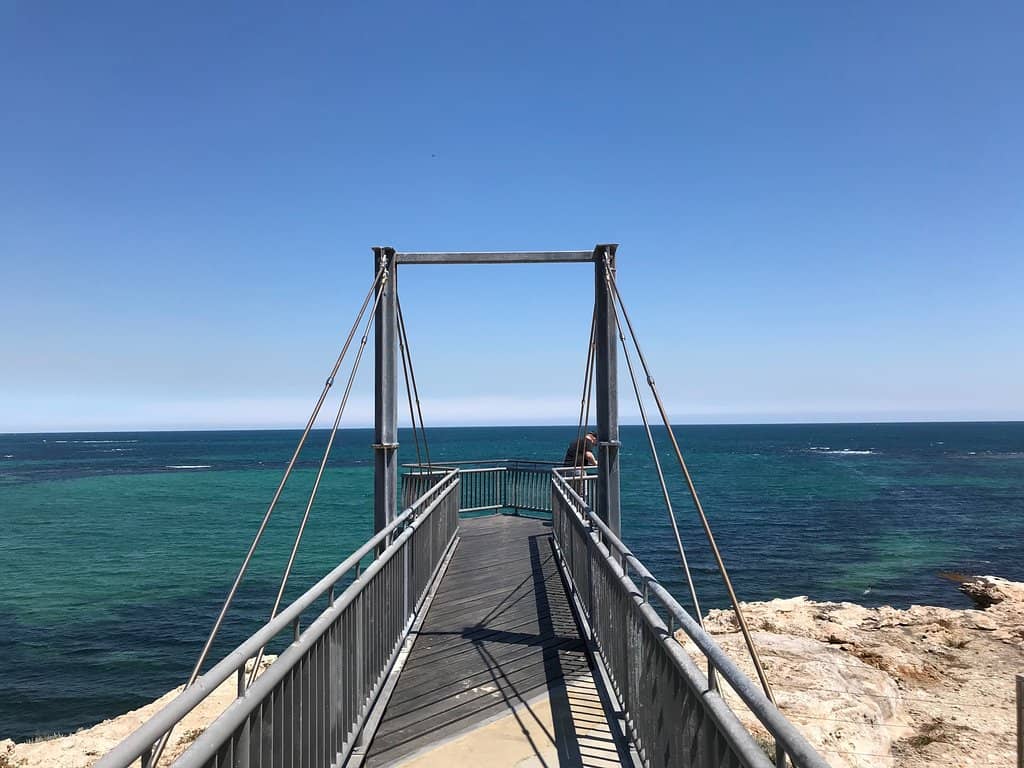 Vertical photo
