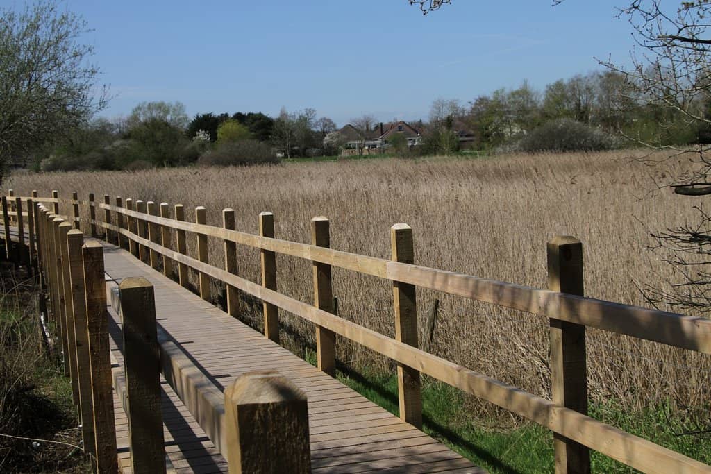 The Working Tide Mill