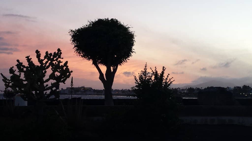 Promenade & Cycle Path