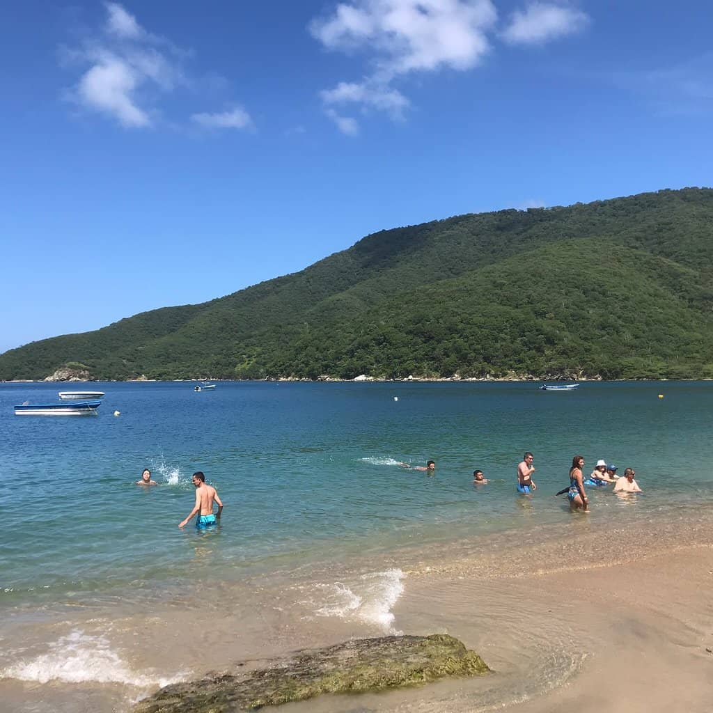 Lush Mountain Backdrop