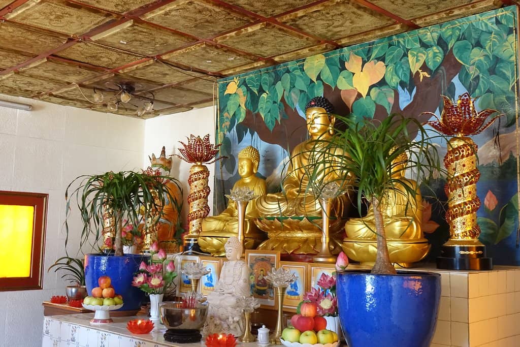 Vietnamese-French Hospitality