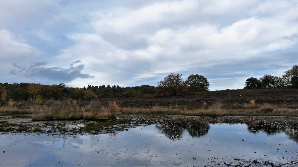 Terraced Landscape