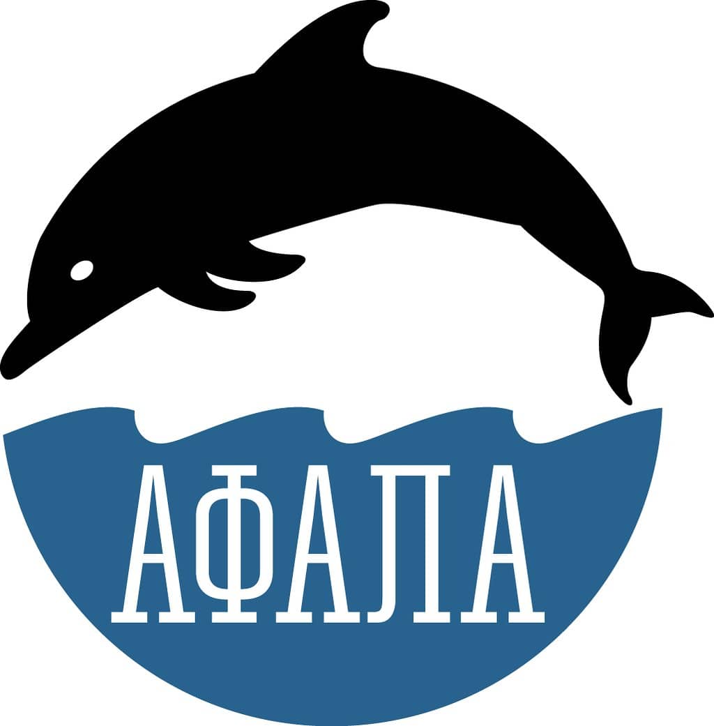 Specialty Festivals & Markets