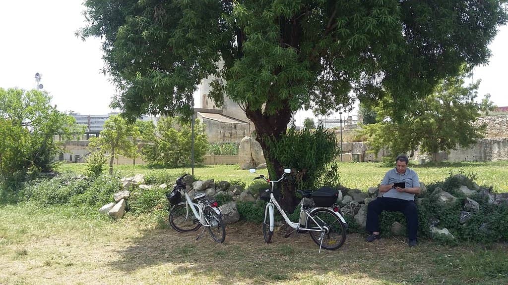 Parco di Belloluogo