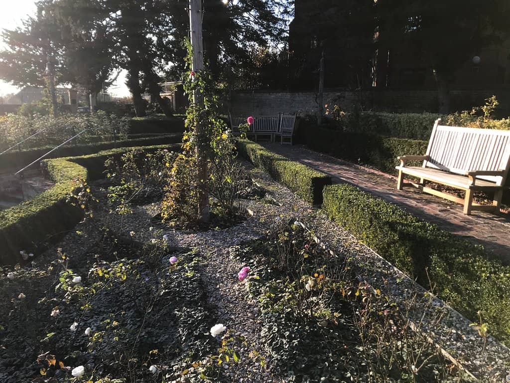 Peaceful Lawn