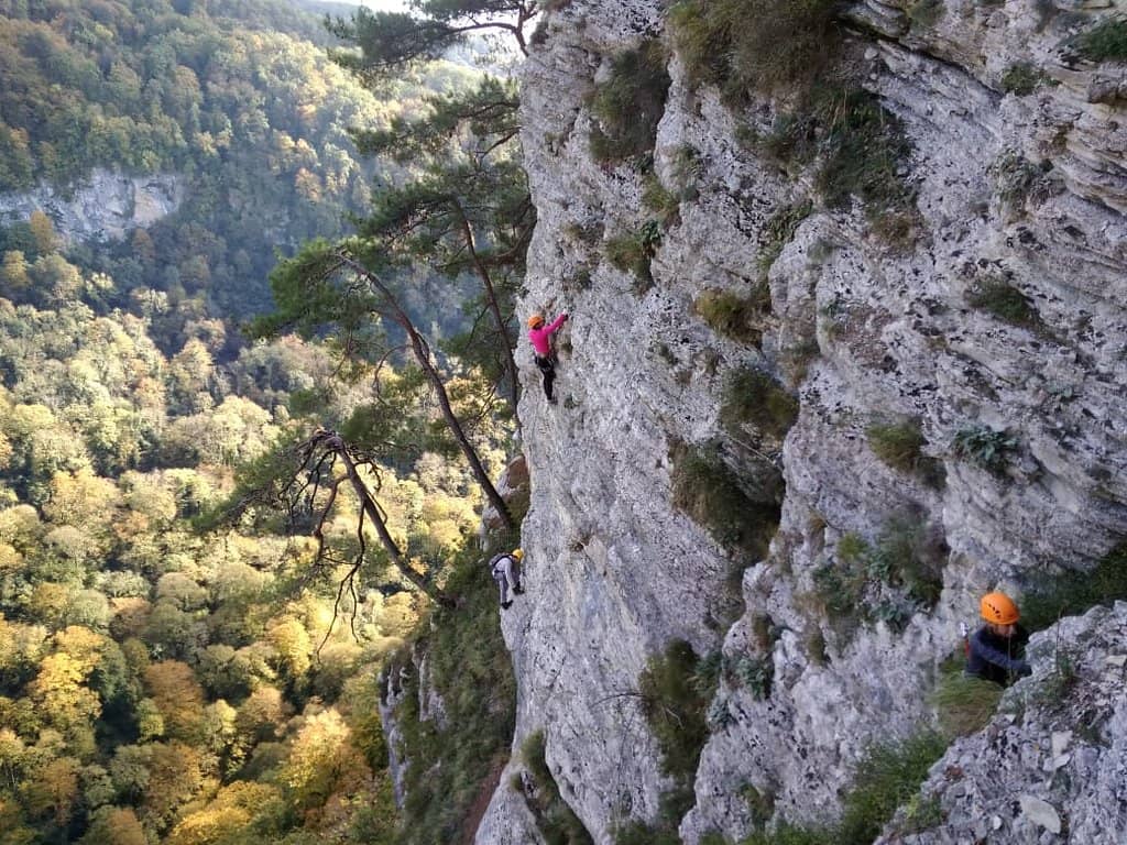 Vertical photo