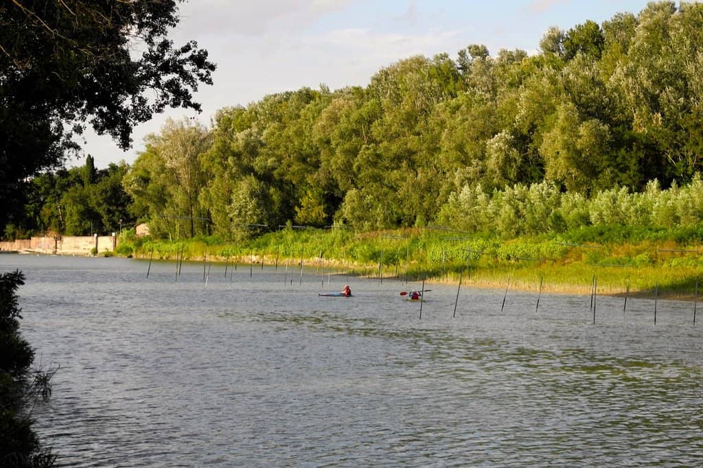 Adventure Trails
