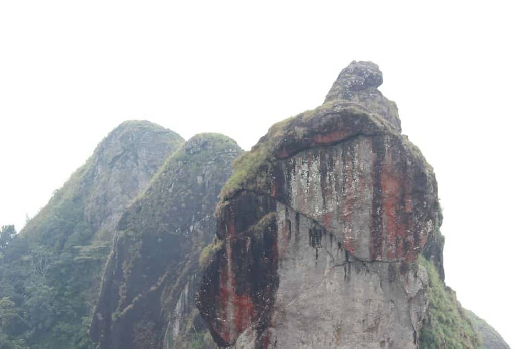 Panoramic Viewpoint