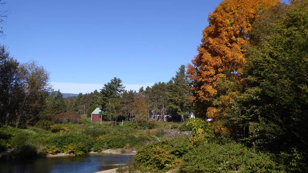 Percy Farm Corn Maze