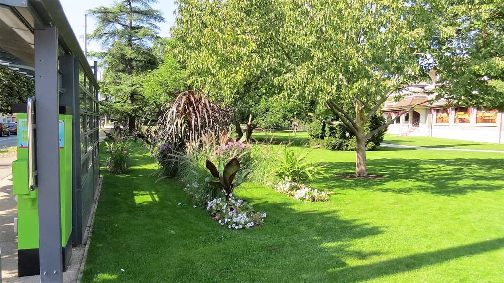 Summer Events & Festivals