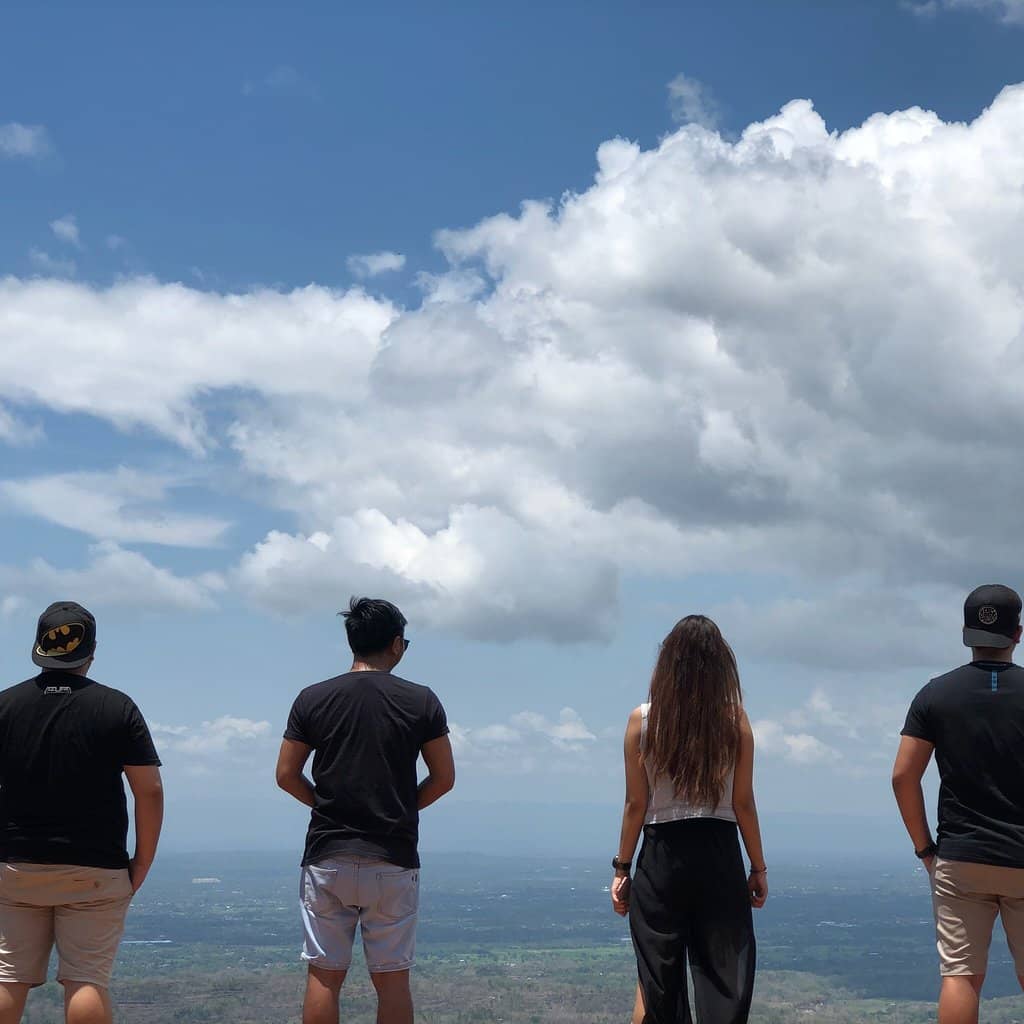 Scenic Valley & Pine Forest