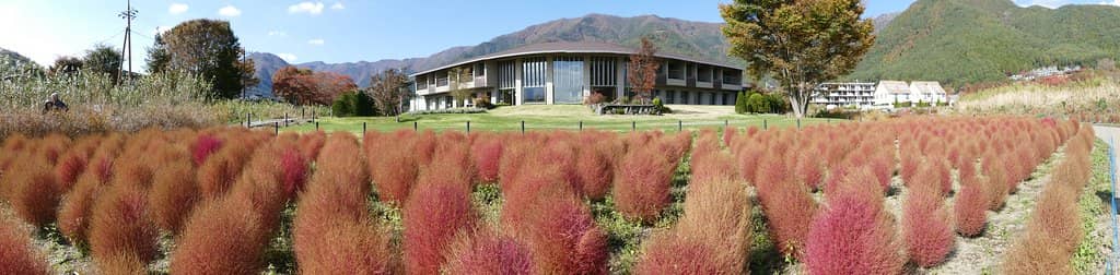 Oishi Park Cafe Treats
