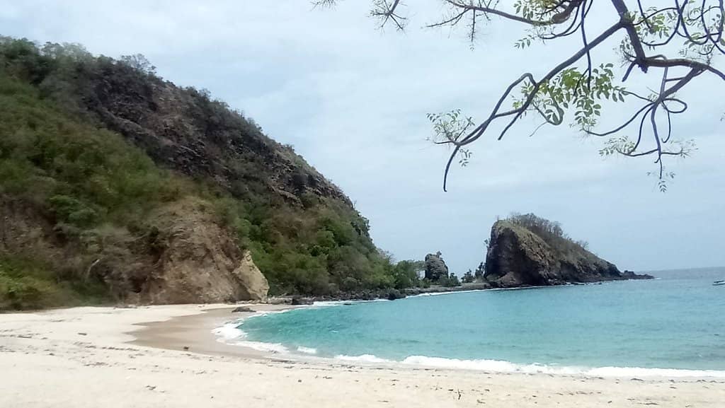 Fresh Seafood Delights