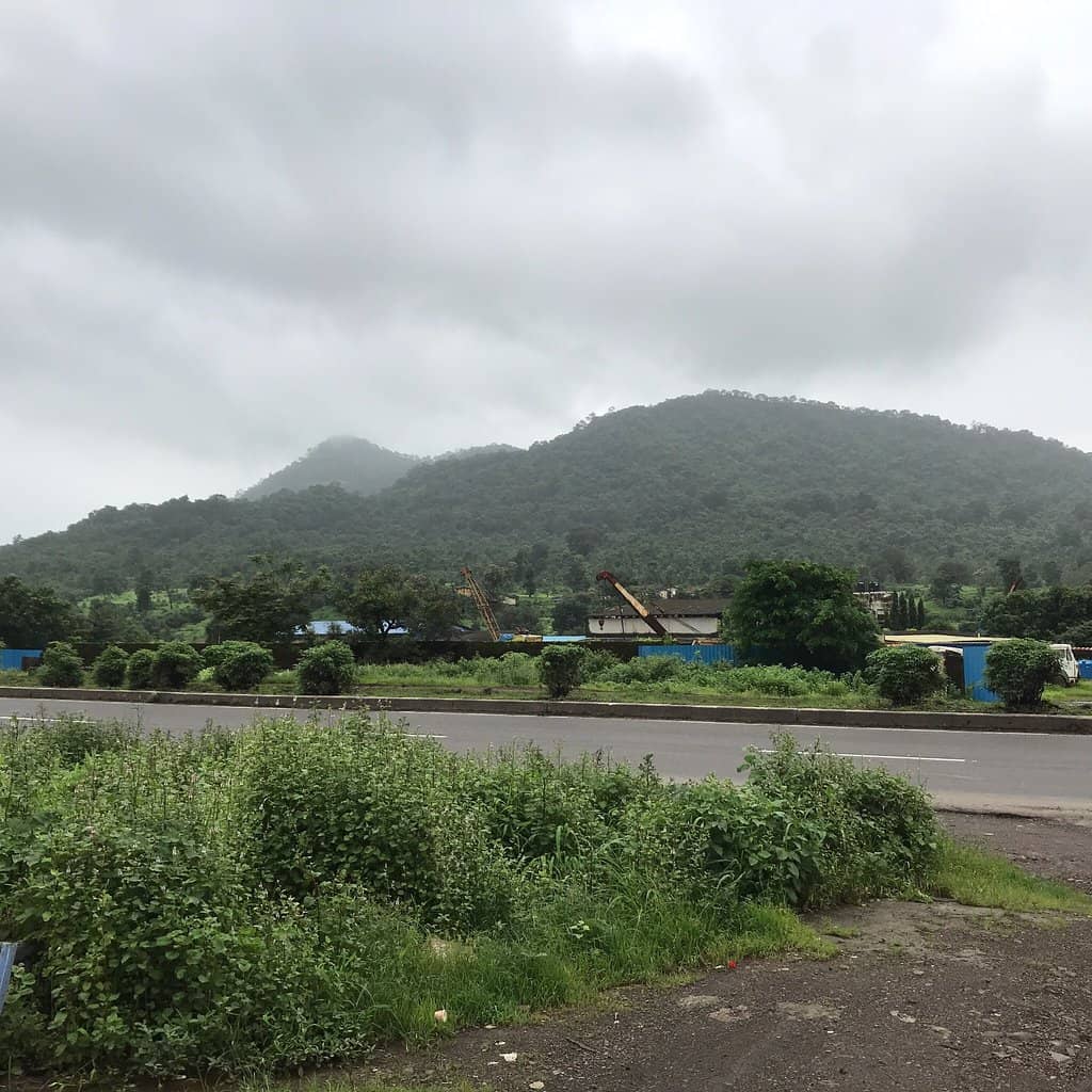 Lush Green Trek