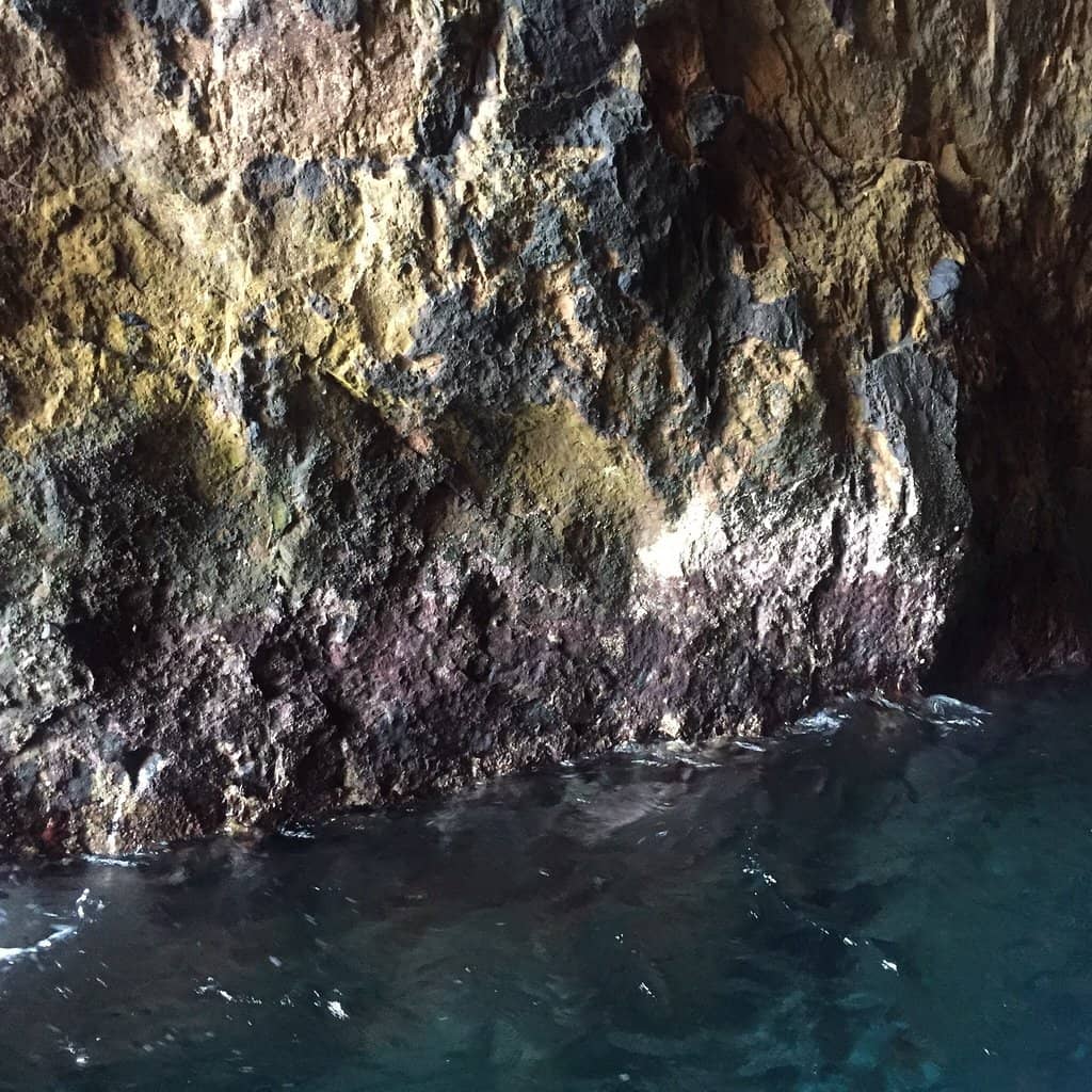 Marine Biodiversity
