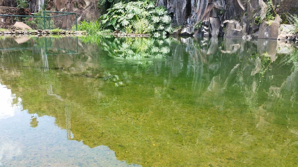 Jogging & Walking Paths