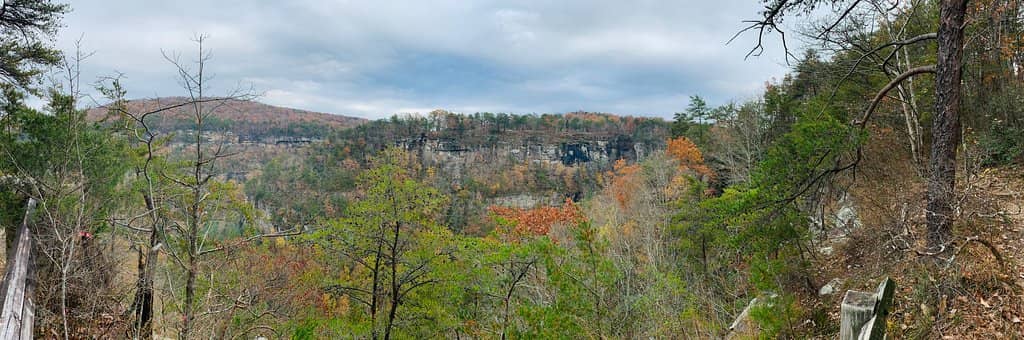Canyon Overlooks