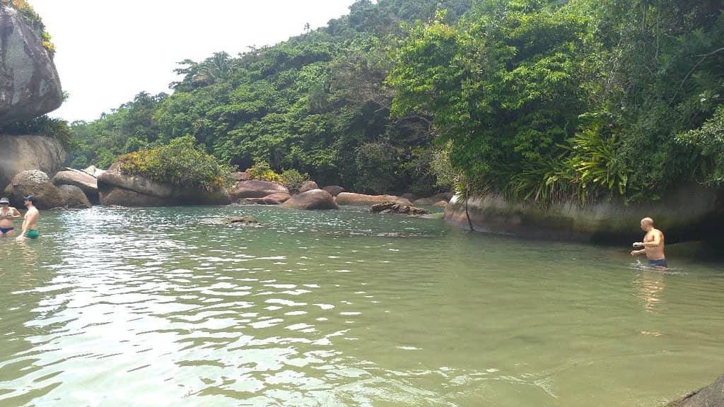 Marine Life Encounters