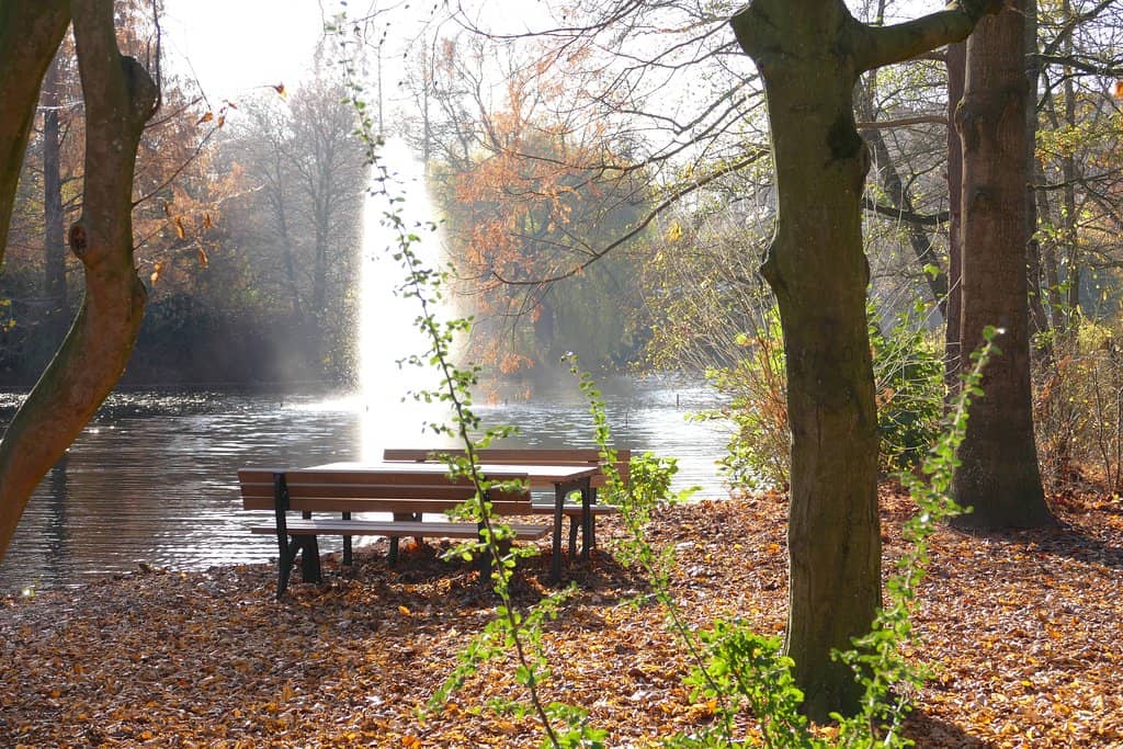 Biergarten & Cafes