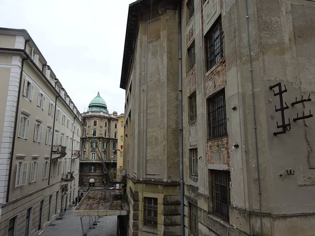 Symbol of Resilience