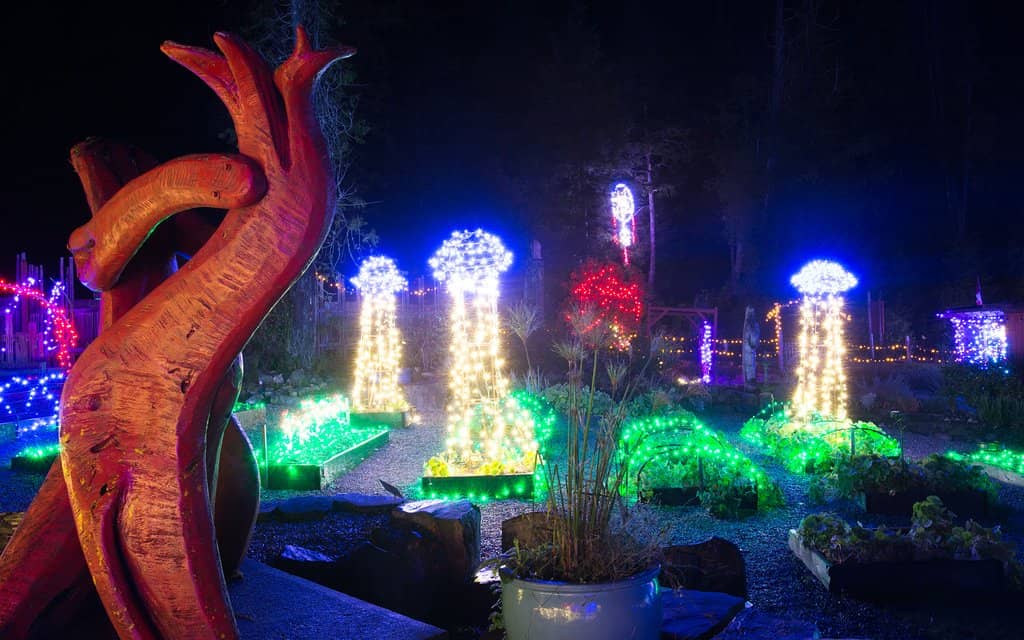 Indigenous Installations