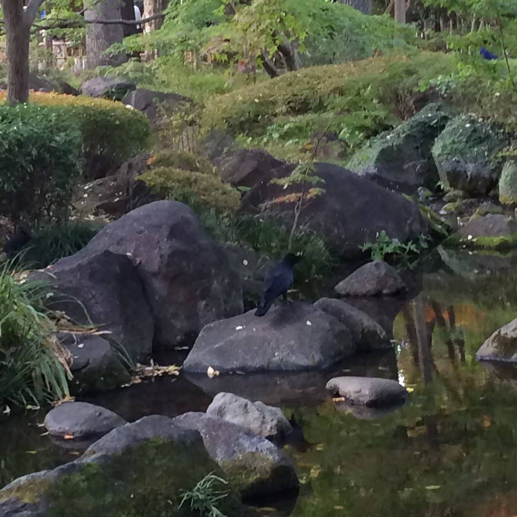 Traditional Japanese Garden