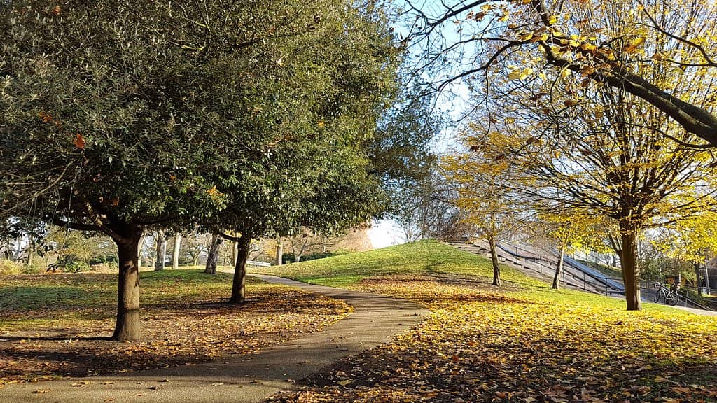 Accessible Playground