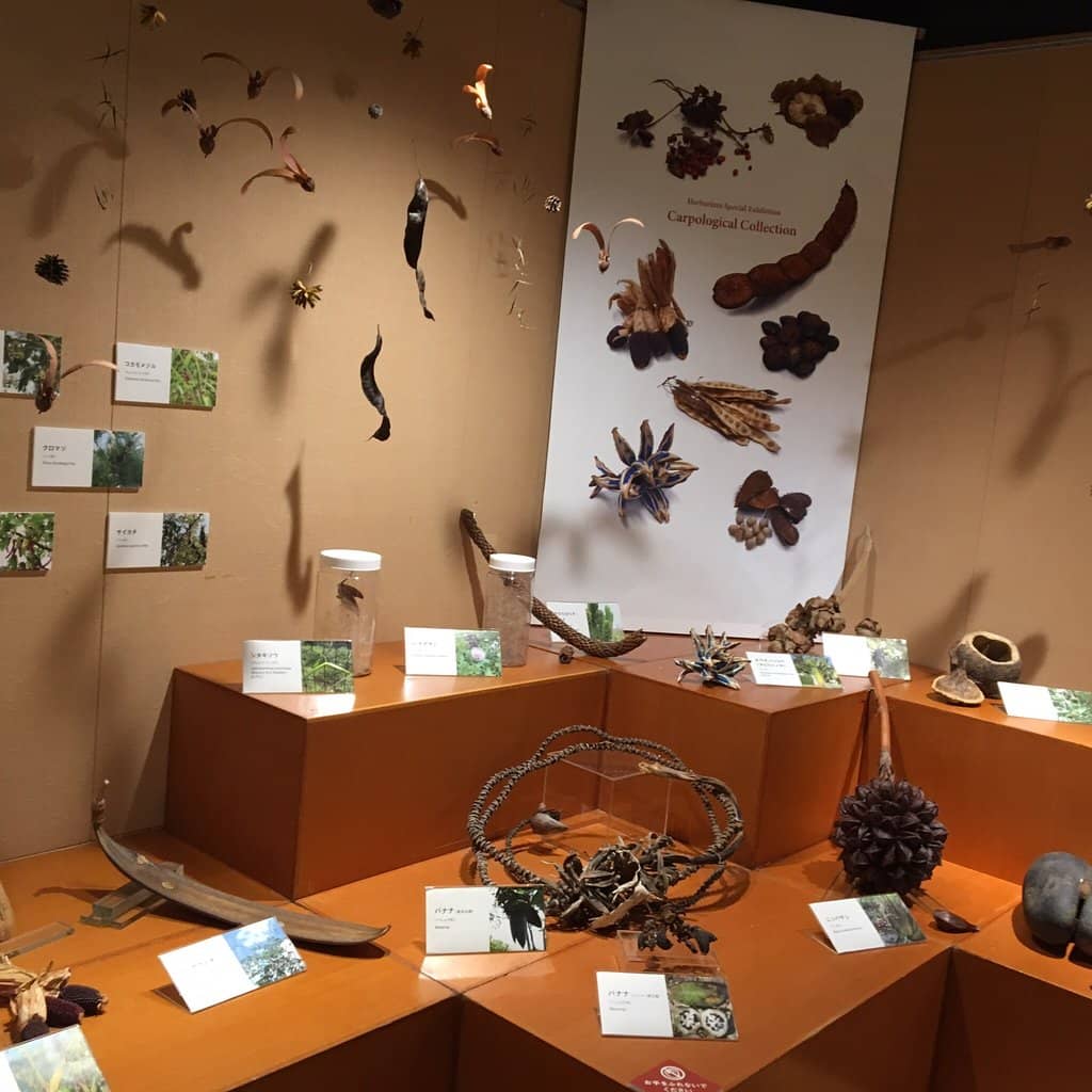 The Father of Japanese Botany