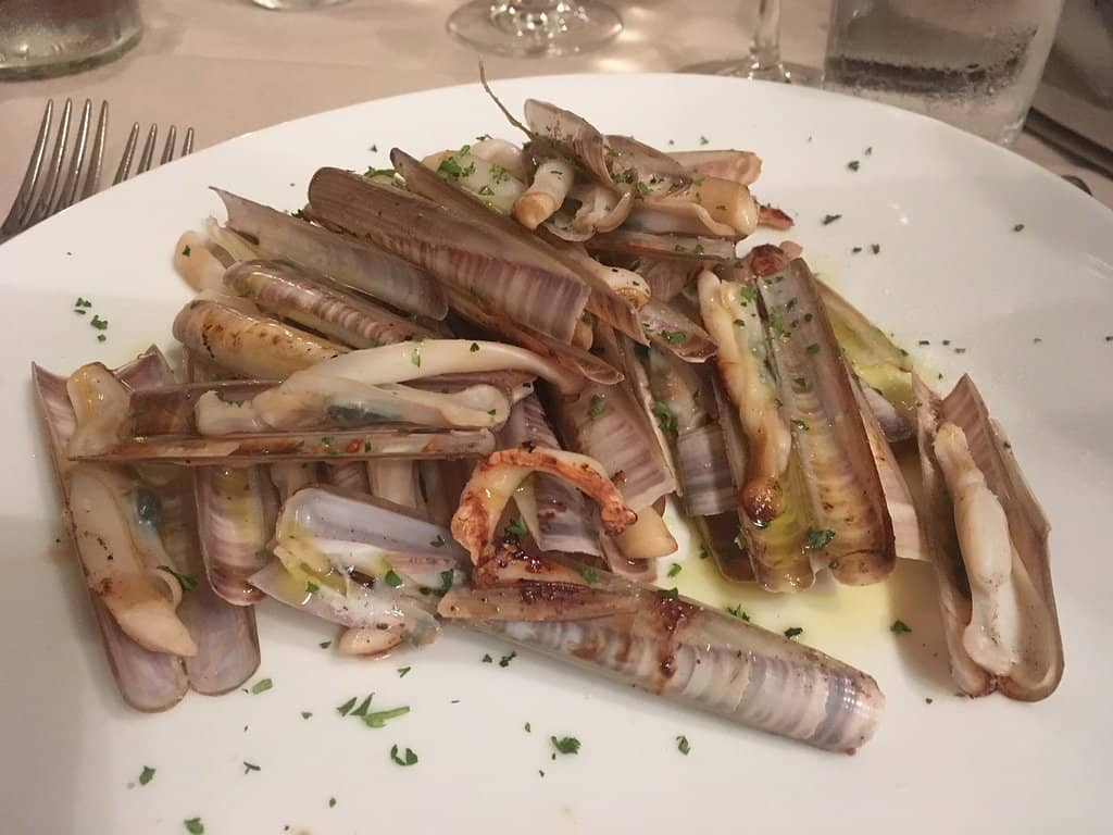 Razor Clams