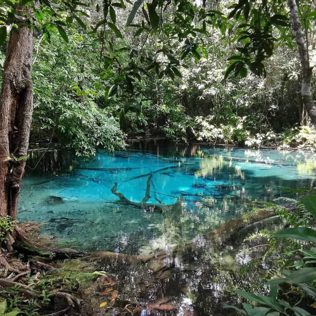 Unique Souvenirs & Crafts