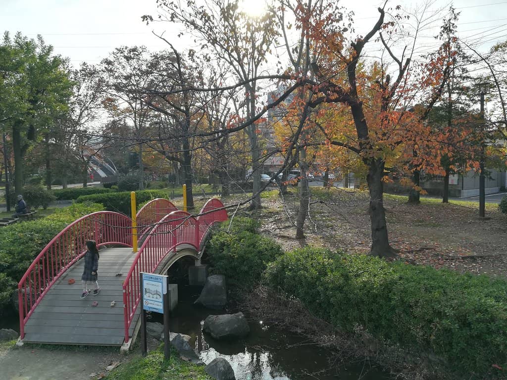 Lakeside Paths