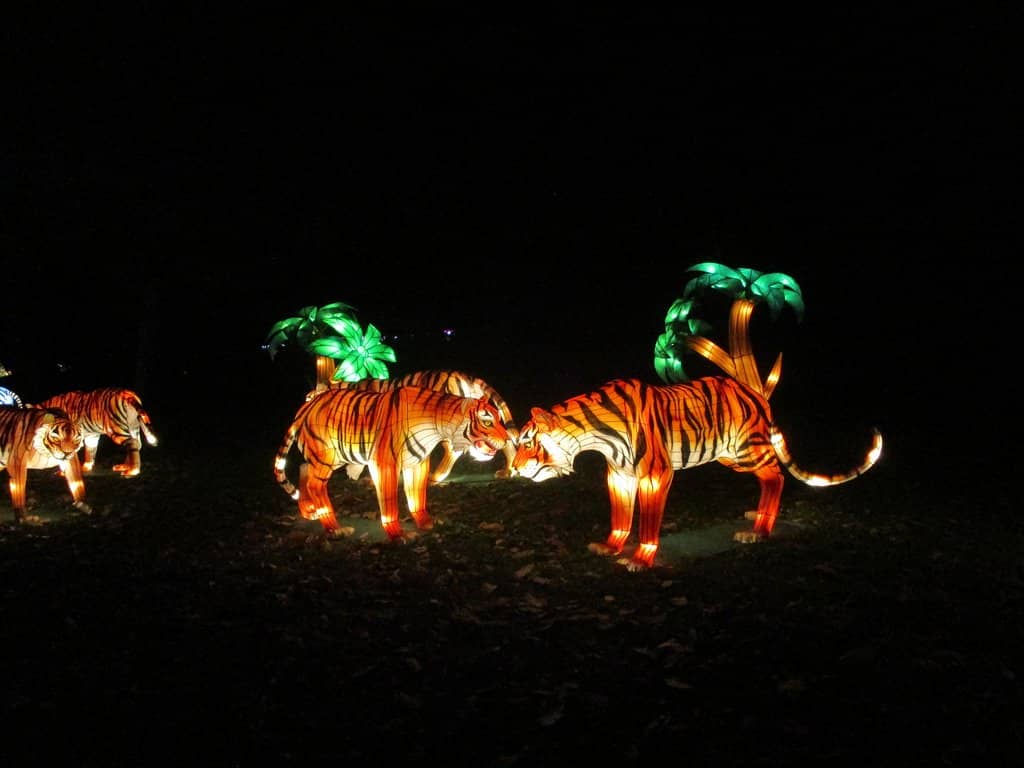 Lion's Den